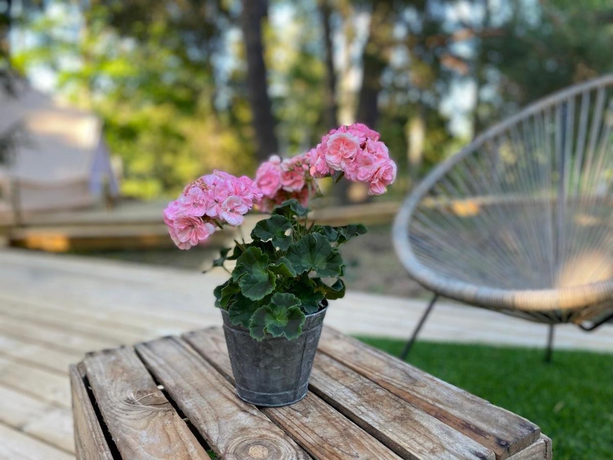 Koh Tenta A B&B In A Luxury Glamping Style Mariefred Εξωτερικό φωτογραφία